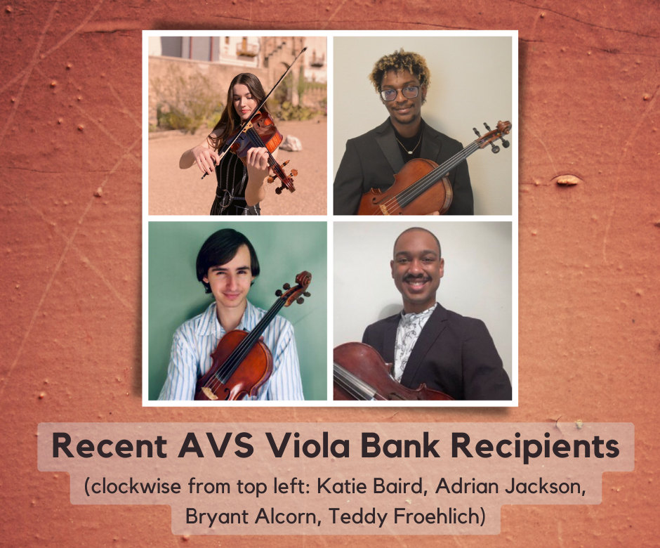 AVS Viola Bank